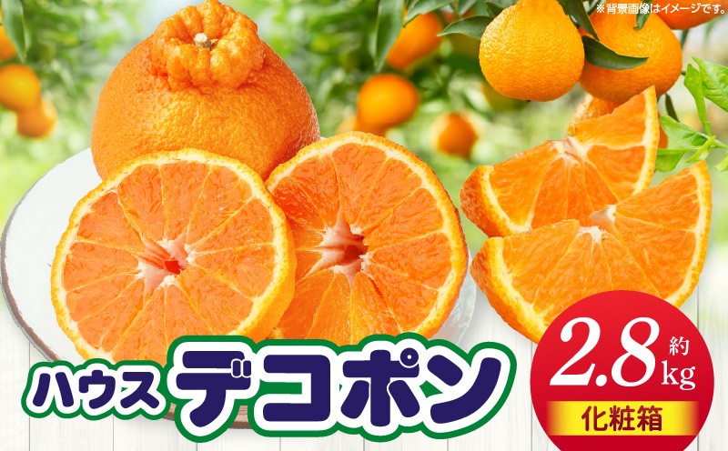 
                  ハウスデコポン約2.8kg化粧箱 | デコポン 甘い 酸味 柑橘 柑橘系 果物 フルーツ 青果 デザート グルメ おすすめ 贈答 贈り物 贈答用 ギフト プレゼント 特産品 特産 取り寄せ 香川県 三木町 |_mk006-026
                