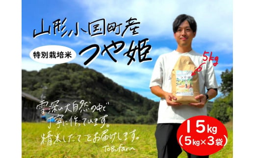 山形県小国町産　つや姫・15kg（5kg×3袋）