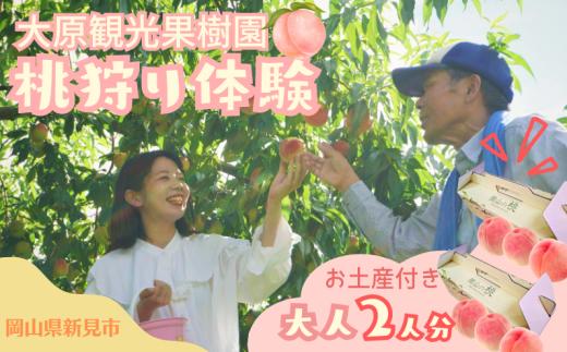 大原観光果樹園 桃狩り体験ペアチケット 大人2人（桃お土産付き）