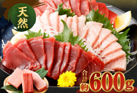 【室戸市】 厳選 天然 本マグロ 大トロ 中トロ 赤身 600g