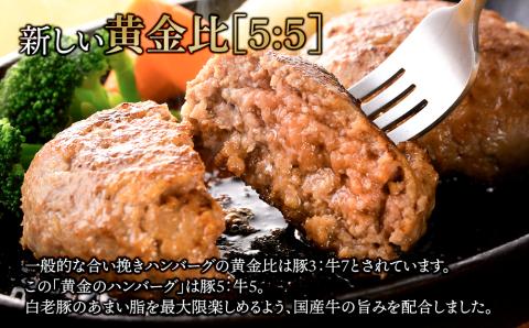 国産100％白老合挽金色ハンバーグ150g×12 国産ハンバーグ 牛肉 豚肉 あいびき 洋食 肉料理 惣菜 冷凍 白老 ふるさと納税 北海道 BV023