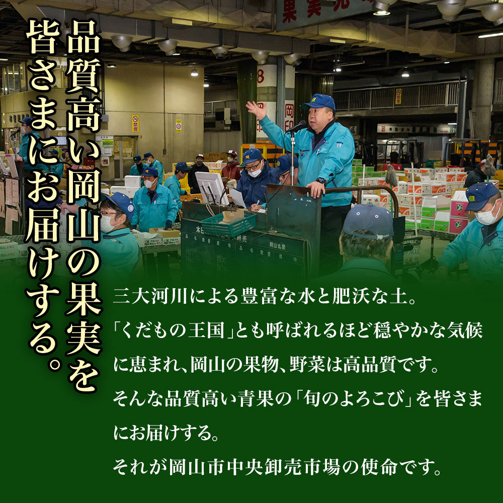 シャインマスカット （晴王・700g以上）1房 化粧箱入り【2024年8月下旬～10月上旬発送】 果物 くだもの フルーツ ぶどう ブドウ 葡萄 マスカット