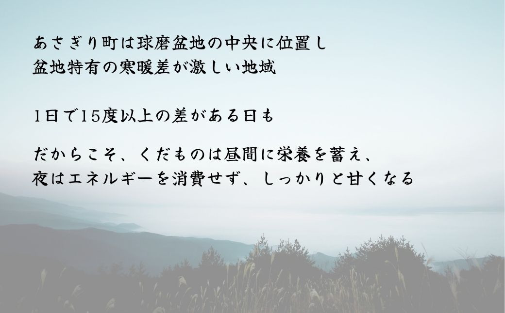 【発送時期：2026年8月上旬～10月上旬】熊本県ＪＡくま産　球磨の梨　5kg（12・14・16玉　旬な品種）