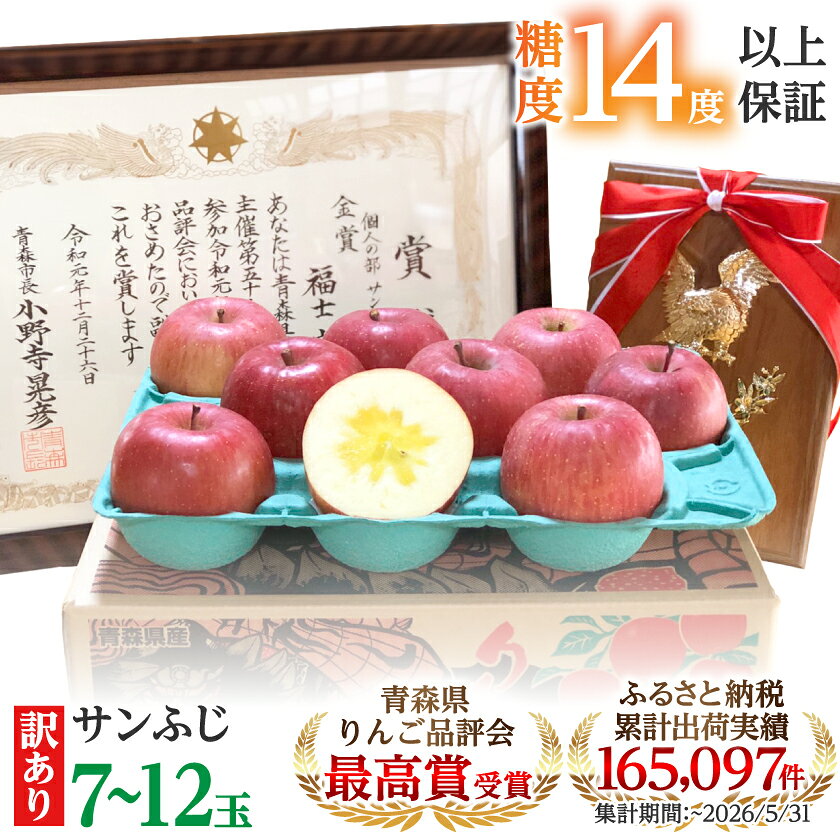 「サンふじ」約3kg(糖度14度以上保証・訳あり家庭用)【先行受付】_A1-808【配送不可地域：離島】