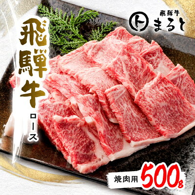 【ふるさと納税】【飛騨牛A4等級以上】特選ロース(焼肉用)500g_ 牛肉 肉 和牛 黒毛和牛 ロース 焼肉 人気 お取り寄せ グルメ 冷凍牛肉 ブランド牛肉 バーベキュー 養老町 【配送不可地域：離島】【1451224】