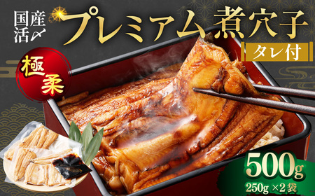 飯田商店 国産活〆 プレミアム 煮穴子 500g（ 250g×2袋 ） タレ付 魚介 魚介類 鮮魚 海鮮 魚 お魚 煮込み あなご 穴子 煮穴子 おかず 惣菜 