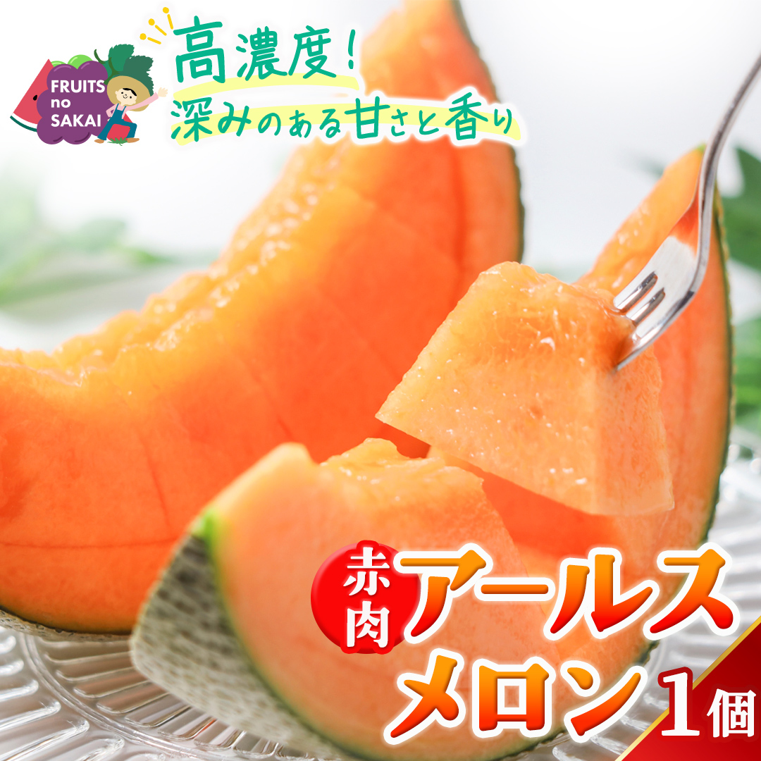 赤肉アールスメロン 1玉 赤肉 高糖度 甘い 美味しい フルー