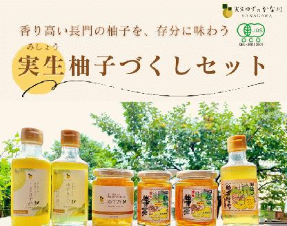 (12027)ゆずづくしセット 実生ゆず 柚子茶 柚子酢 ゆずネード 俵山 長門市