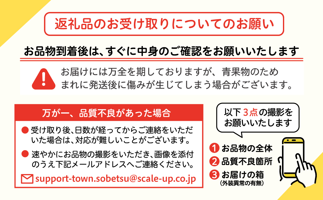＜2026年5月下旬よりお届け＞4回お届け！旬の野菜セット【アスパラガス・とうもろこし・カボチャ・じゃがいも】定期便 SBTA045
