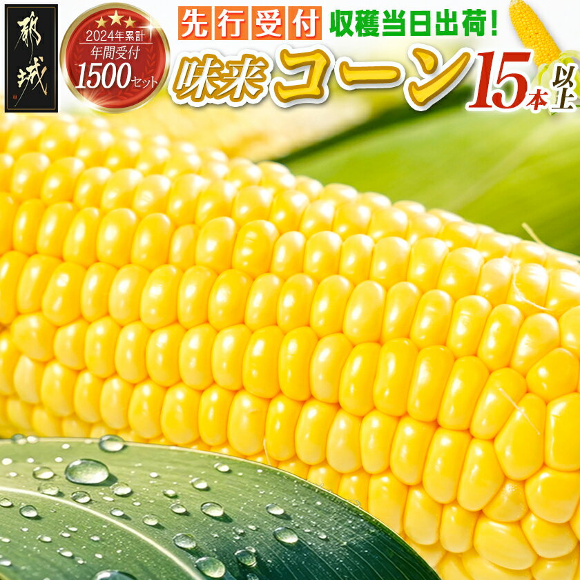 【ふるさと納税】《先行予約！》朝どれ！！都城産スイートコーン(味来コーン)5kg 15本以上 - 朝どれ直送のとうもろこし スイートコーン 5キロ 約15本以上 みずみずしい あまい 産地直送 先行受付 送料無料 12-B401-6【宮崎県都城市は2年連続ふるさと納税日本一！】