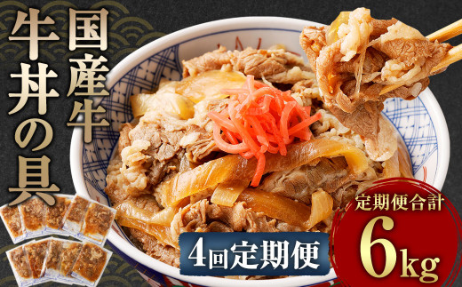 
【定期便4回】牛丼の具 150g×10パック 1.5kg 合計6kg
