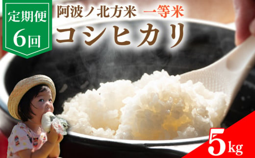 【 定期便 5kg × 6回 】 コシヒカリ 令和6年産 阿波ノ北方米 毎月 1回 1等 米 こめ ご飯 ごはん おにぎり 白米 精米 新米 卵かけご飯 食品 備蓄 備蓄米 保存 防災 ギフト 贈答 プレゼント お取り寄せ グルメ 送料無料 徳島県 阿波市 阿波ノ北方農園