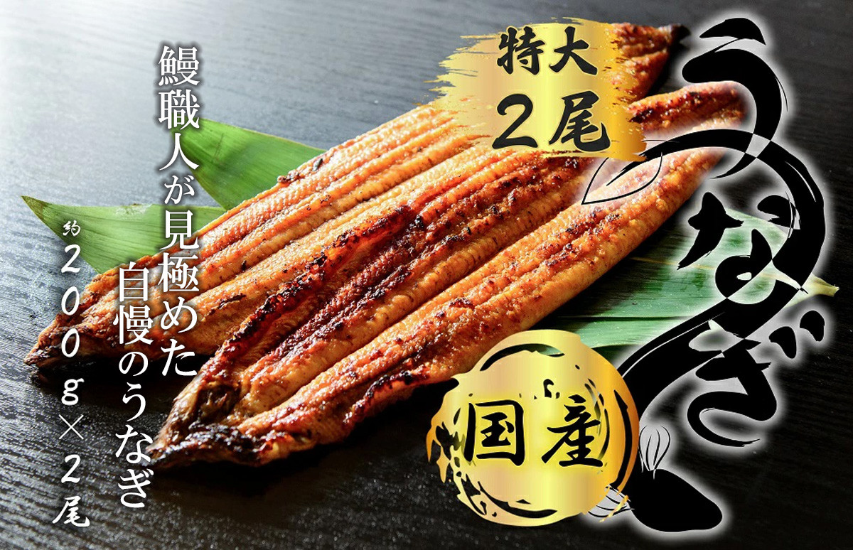 FK014 　九州産　うなぎ職人手焼き　蒲焼　国産　有頭鰻 1尾あたり約200ｇ×2尾（合計約400ｇ以上）たれ・山椒セット
