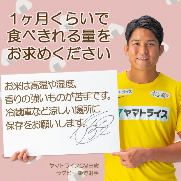 【24回定期便　玄米パックご飯】北海道産ゆめぴりか使用 150g×24個入り やわらかい玄米ごはん  レトルト 玄米 パックライス レンジ 保存食 非常食 防災 キャンプ ごはん 玄米 一人暮らし 備
