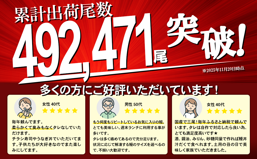 【7日以内発送】訳あり さかい河岸水産 国産うなぎ お試し 2尾 200g以上 人気 鰻 うなぎ蒲焼 K2629
