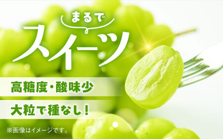 【先行予約】【訳あり】シャインマスカット　約1kg（2?3房）　【中島農園】[AYCX003]