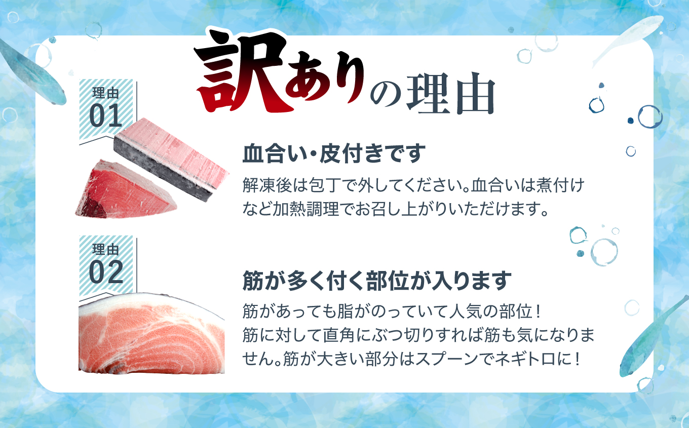 本マグロ訳あり中トロ1kg　解凍レシピ付　本マグロのトロ食べ放題！
