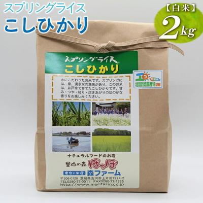 ふるさと納税 古河市 スプリングライス こしひかり (白米)2kg | 米 こめ コメ 2キロ 精米 白米 _BI24