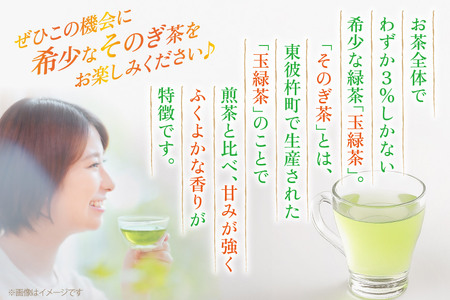 茶 お茶 緑茶 長崎 そのぎ茶 定期便 隔月 彼杵茶 玉緑茶 アルミボトル 490ml 24本 3回 総計72本 [彼杵の荘 長崎県 東彼杵町 hs42bag270021] 2か月に1回 ペットボトル