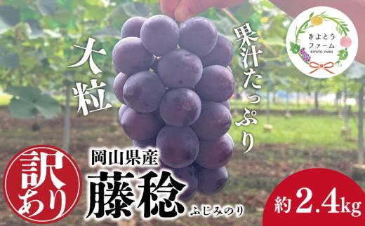 【2026年先行予約】訳あり 種なし ボッケーネ(藤稔) 約2.4kg (岡山県産) /  岡山 真庭 ピオーネ 高級 2.4kg 真庭市 大粒 葡萄 果物 フルーツ 濃厚 人気 数量限定【KF-B090-02】