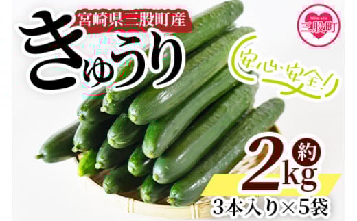 
＜【先行予約】【期間限定】宮崎県産きゅうり(約2kg)＞(約2kg・3本入り×5袋)パリッと甘い魔法のキュウリ「マジキュー」漬物や天ぷらに！【mi149】【ゆたか農園】
