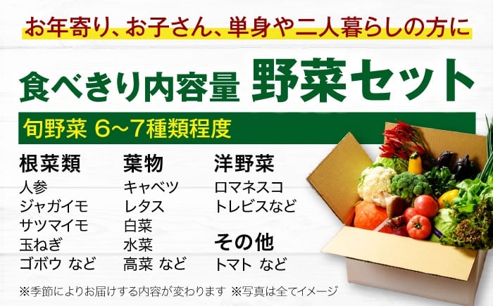 野菜 やさい 少量セット 食べきり 野菜 定期便 野菜定期便 野菜 詰め合わせ