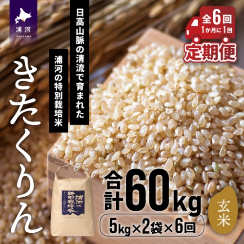 【令和5年産】浦河の特別栽培米「きたくりん」玄米(5kg×2袋)定期便(全6回)[28-1210]