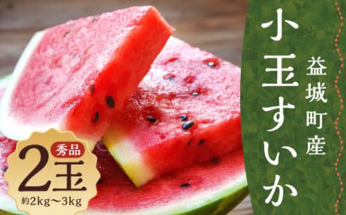 小玉すいか 秀品 2玉 約2～3kg 送料無料 スイカ すいか 益城町産 お取り寄せ お取り寄せグルメ 西瓜 フルーツ 【2026年5月下旬～7月下旬発送予定】
