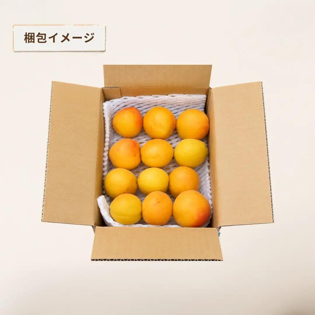 【2027年先行予約】あんず おひさまコット(生食/皮ごとOK)  バラ詰め約2kg| あんず 長野県 千曲市