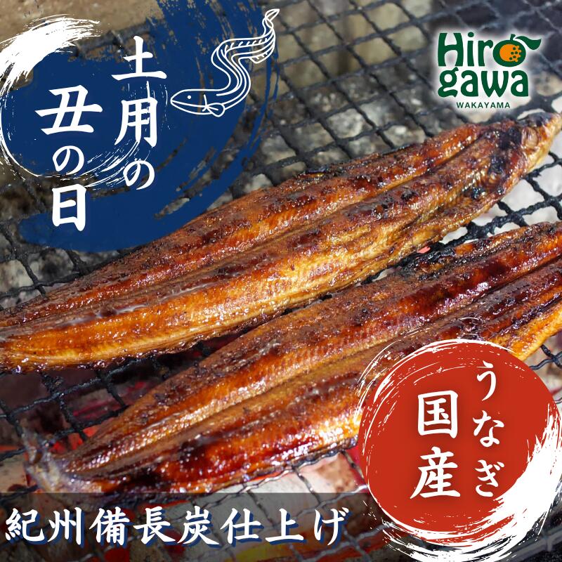 【ふるさと納税】 うなぎ 蒲焼き ( 国産 ) 紀州備長炭で焼き上げ無添加 / 鰻 国産 うなぎ蒲焼き うな丼 うな重 //fish