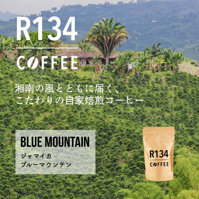 【ふるさと納税】R134 COFFEE −ジャマイカ ブルーマウンテン No.1【自家焙煎 100g x 2袋】