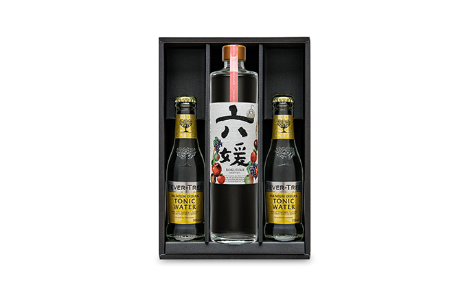 道後ジン 六媛・トニックセット（G6-500） お酒 晩酌 家飲み 