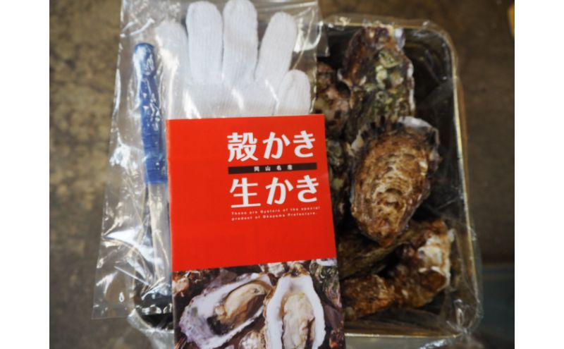 牡蠣 2026年 先行予約 殻付き 大粒牡蠣  半斗缶 (約35個)約5kg～6kg 山銀商店 瀬戸内海虫明湾産 約6kg前後 魚介類 カキ シーフード かき