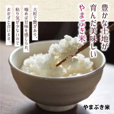 ふるさと納税 産山村 【令和7年産新米】やまぶき米(あきげしき)8kg |  | 02