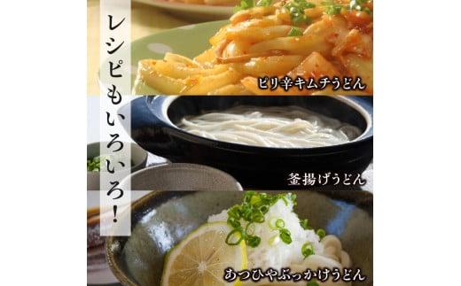 ＜製麺所直送＞乾燥讃岐手打ちうどん普通麺6袋 ・ 細麺6袋(24食分)だし付