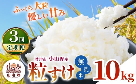 【 定期便 3回 】 無洗米 令和7年産 君津市小山野産 粒すけ 10kg 3回 | あかかげ農園 千葉稲作 ツブスケ 千葉県産 むせんまい 米 コメ こめ お米 千葉県 君津市 きみつ