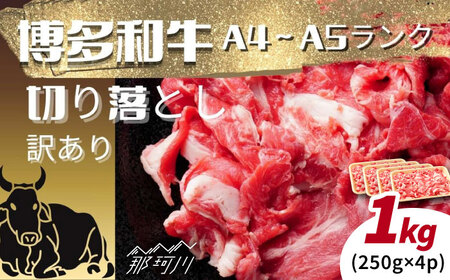 【訳あり】【A4～A5ランク】博多和牛 切り落とし 1.0ｋｇ（250g×4個）[GFR054]
