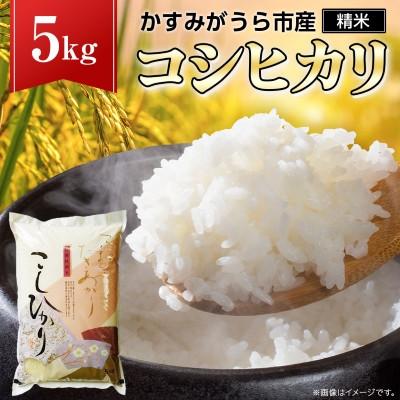 ふるさと納税 那珂市 《 令和7年産 》 コシヒカリ 精米 5kg (茨城県共通返礼品 かすみがうら市)