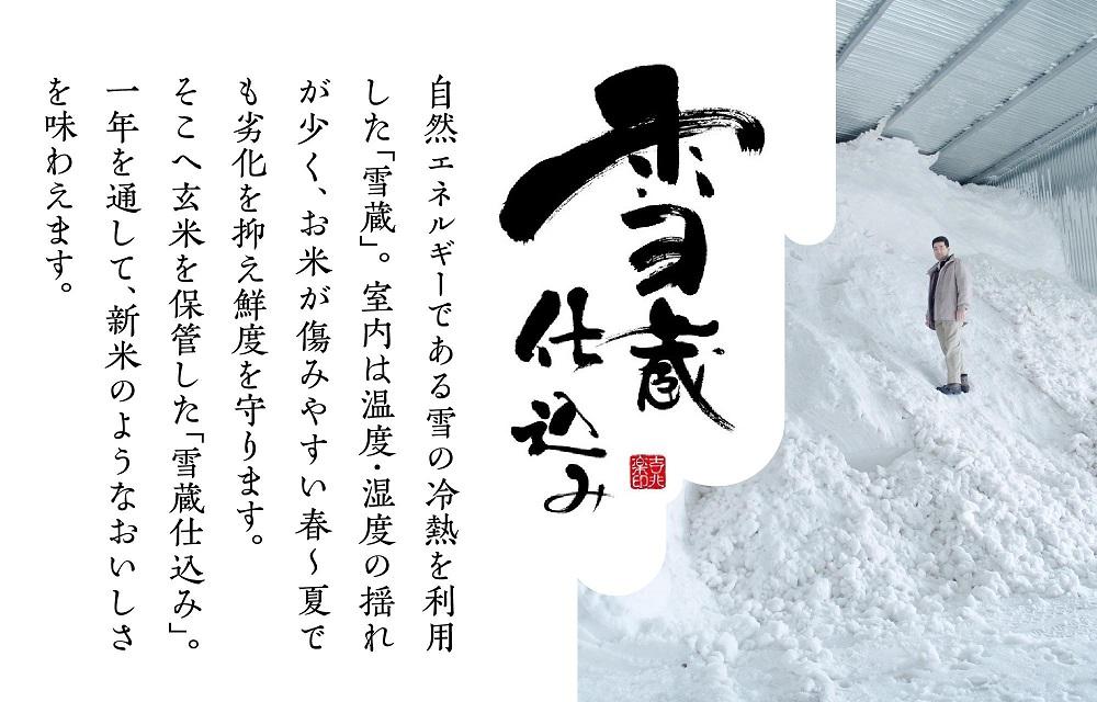 【新米予約　10月発送】南魚沼産こしひかり5kg　契約栽培  雪蔵貯蔵米
