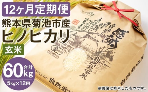 
										
										【真空パック】【定期便12ヶ月】七城物語 高野さんちの 自然栽培米 (玄米) 5kg (2.5kg×2パック) 合計60kg お米 米 玄米 ヒノヒカリ
									