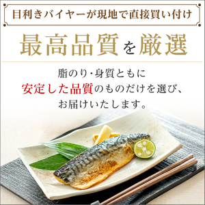 ＼ スピード発送 ／ 訳あり 有塩さば 骨取り 約2kg さば