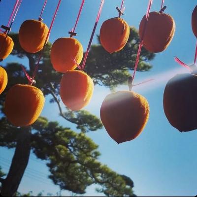 ふるさと納税 山梨市 【甲州銘菓数量限定】手作り甲州百目枯露柿12〜20個1号化粧箱入り |  | 03