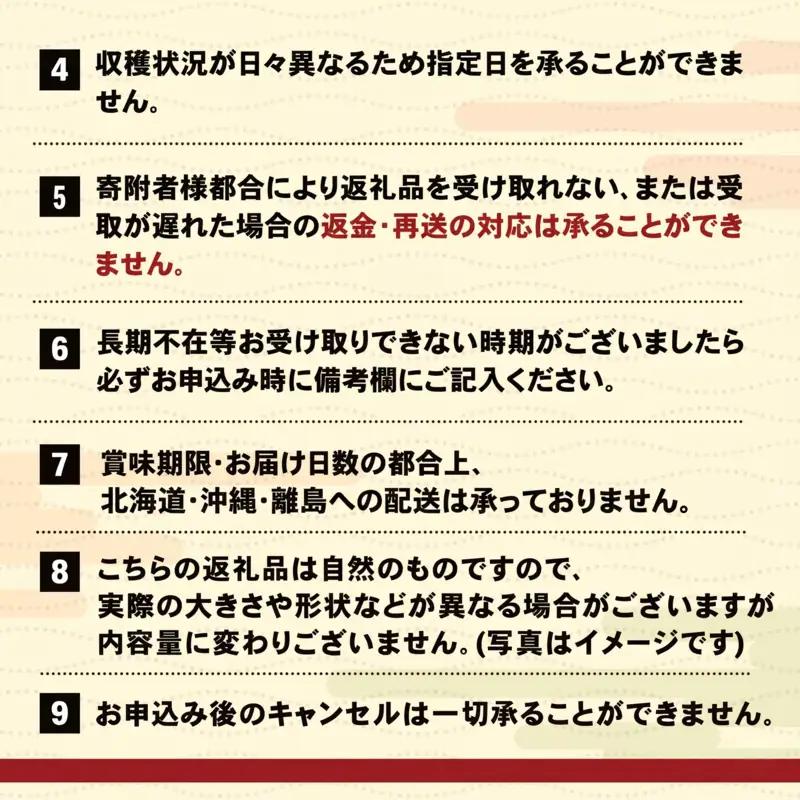 【期間限定】生うに 150g 大船渡産 ミョウバン不使用 冷蔵 三陸