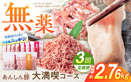 【3回定期便】あんしん豚 豚肉大満喫コース 計2.76kg 白川町 / 藤井ファーム[AWAF072]