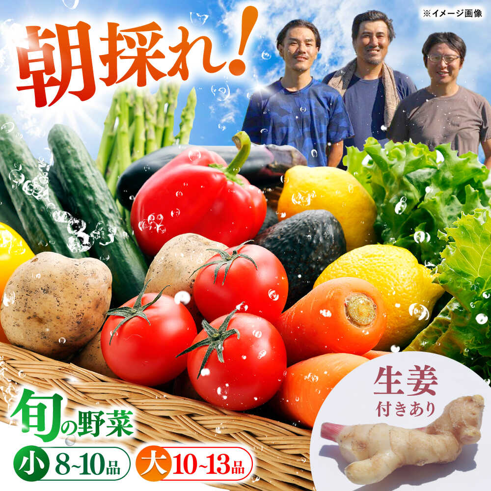 【ふるさと納税】【高知の安心野菜をお届け】土佐の太陽をいっぱいに浴びた旬の野菜セット〈選べる容量＆生姜有無〉/栽培期間中農薬・化学肥料不使用 スピード 最短 最速 発送 野菜 送料無料 やさい 定番 野菜 セット 詰め合わせ 旬 新鮮【土佐野菜】[ATBA001]