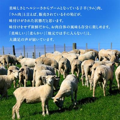 ふるさと納税 稚内市 稚内の肉職人 たかみさんの熟成生ラム肉ロース厚切り(500g×3) |  | 01