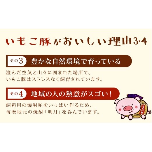 【6回定期便】豚肉 宮崎県産 いもこ豚 しゃぶしゃぶ セット 3kg × 6回 総合計 18kg しゃぶしゃぶ用 切り落とし 小分け 豚 豚バラ ロース 肩ロース スライス 小間切れ 鍋 鍋用 国産 