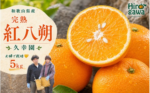 完熟 紅八朔 5kg 久幸園 / はっさく 甘い 和歌山 柑橘 ※2027年4月上旬～5月上旬頃に順次発送予定 【hsk022-beni-5】