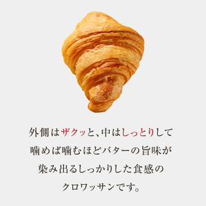 【全12回定期便】よつ葉バターの香り♪酵母クロワッサン１０個 065-06-T04