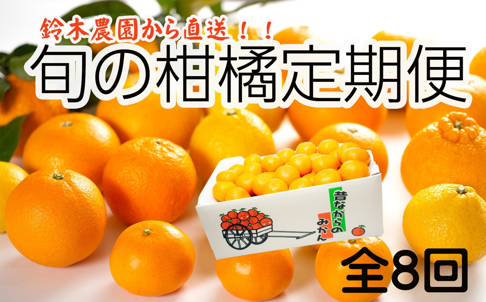 
                  ［定期便 全8回］和歌山県鈴木農園産 旬のフルーツ定期便
                